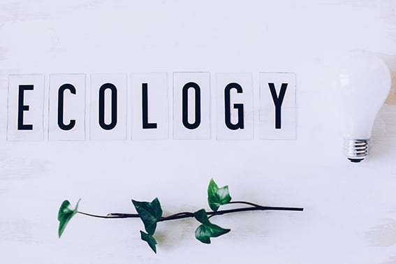 5_prodottigreen_ecology